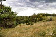 Wacholder-Wandergebiet mit Burg Schönecken im Hintergrund